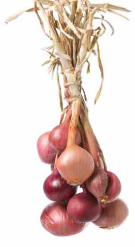 Cooking With Shallots: 3 Simple Shallot Recipes